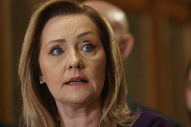 exclusiv elena lasconi il ataca pe nicusor dan despre care spune ca nu i inspira incredere este un om rau razbunator si mincinos 692ca84117433