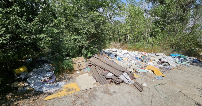 exclusiv ministra mediului avem nevoie de o lege pentru valorificarea deseurilor din constructii in alte state sunt vazute ca resurse 692822f1a219d