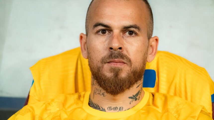 exclusiv varianta noua de transfer pentru denis alibec din iarna mult mai bun acolo poate asta e locul lui 6905b1283ae98