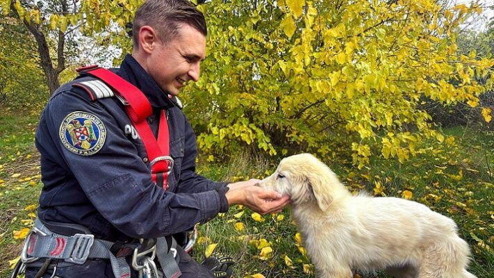 foto catel cazut intr o fantana adanca de aproximativ 15 metri salvat de pompierii tulceni 69099fd2c51dd