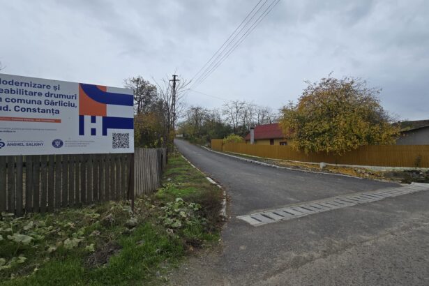 foto cum arata strazile asfaltate din comuna garliciu pe 48 km de drum a fost turnat primul strat de asfalt 692138ec55776