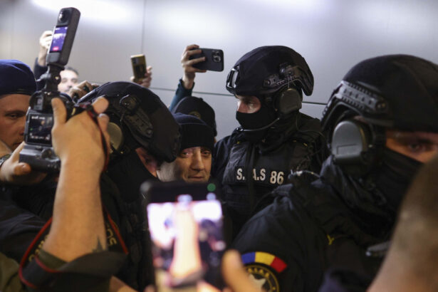 galerie foto primele imagini cu potra adus in catuse in tara busculada pe aeroportul otopeni 691f4726e2e08