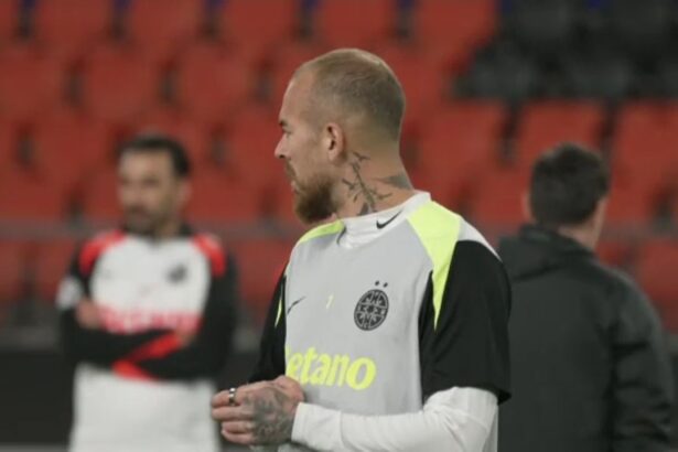 galerie foto suna alarma la fcsb cum a aparut denis alibec la antrenamentul oficial inaintea meciului cu fc basel 690b98e409e9f