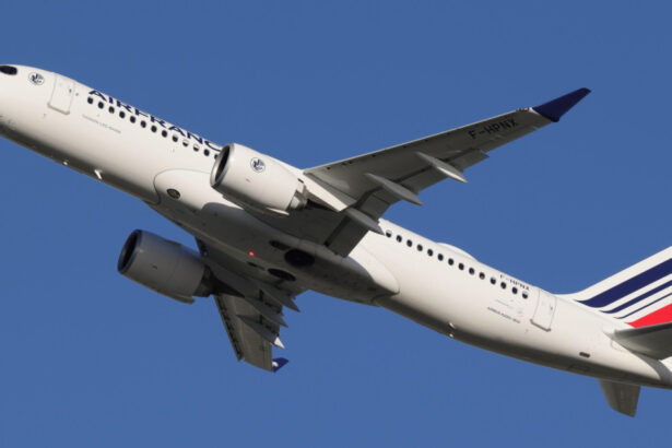 gestul aparent banal care te poate costa 20 000 de euro in avion companiile aeriene franceze introduc cele mai dure sanctiuni 692c90ce32fd9