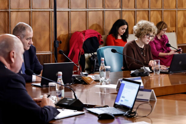 ilie bolojan a stabilit atributiile oanei gheorghiu cu ce se va ocupa noua viceprim ministra la palatul victoria 691ecc43d73ee