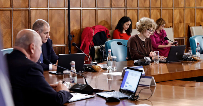 ilie bolojan a stabilit atributiile oanei gheorghiu cu ce se va ocupa noua viceprim ministra la palatul victoria 691ecc43d73ee