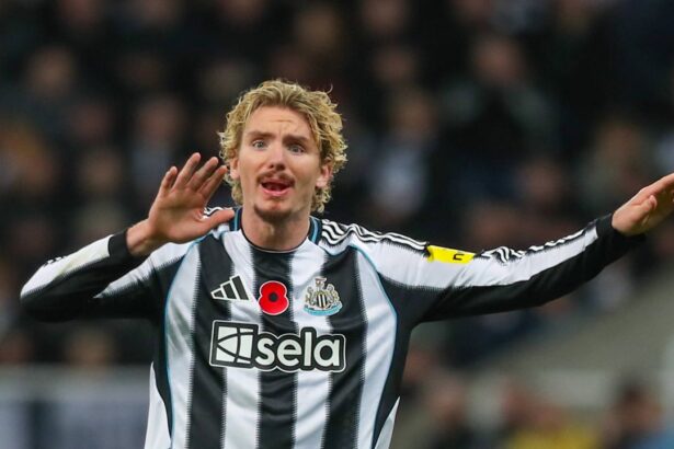 live video west ham newcastle 0 1 acum pe voyo oaspetii au deschis scorul 6907687921b9a