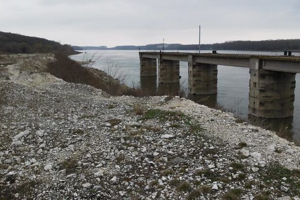 lovitura grea pentru comuna lipnita trebuie sa returneze banii platiti de cjc pentru portul achizitionat ilegal in mandatul lui constantinescu 691691071373d