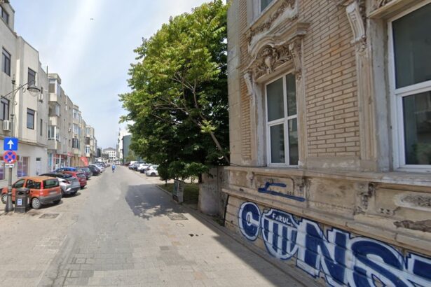 lucian orban si controversatul sau partener de afaceri imobiliare daniel zaif vor sa cumpere un teren in zona peninsulara 69277ee2181b7