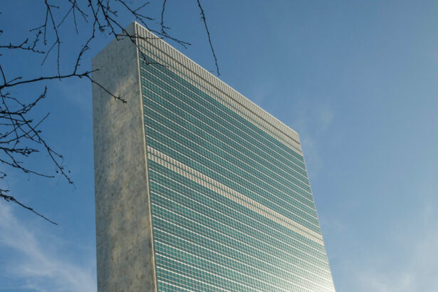 mae romania va avea un judecator la tribunalul onu pentru dispute adina elvira ghita preia functia in 2026 691cf537265a4