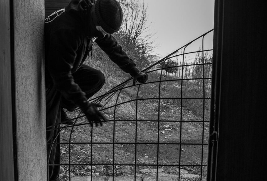 membrii unei grupari de hoti de tigari condamnati definitiv unul dintre ei saltat deja de politisti si dus direct la penitenciar 6918845ee553f