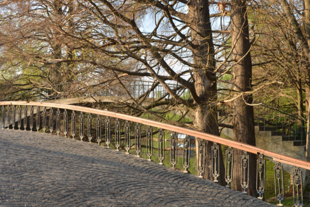 meteorologii anunta vreme mai calda decat de obicei pana la jumatatea lunii decembrie estimari pentru urmatoarele 4 saptamani 69254e97aff39