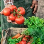 ministerul agriculturii a finalizat platile catre producatorii din sere si solarii 300 de milioane de lei pentru legumele romanesti 6926cc3ee6056