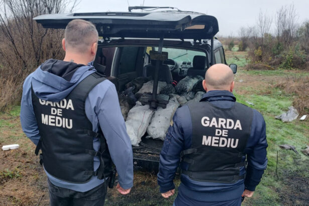 ministra mediului mafia gunoaielor trebuie oprita amenzi uriase si tone de deseuri confiscate in dambovita 690ba3a095c80