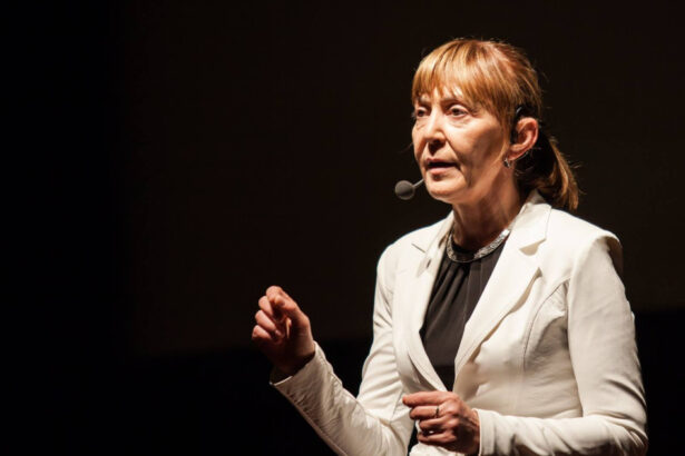 monica macovei fost ministru al justitiei despre pensiile magistratilor exista demisia daca nu iti mai convin conditiile de munca 691373e9dc852