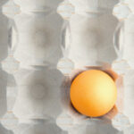 motivul pentru care in unele magazine se gasesc tot mai putine oua fermierii le exporta pentru ca primesc bani mai multi 6915a35663a27