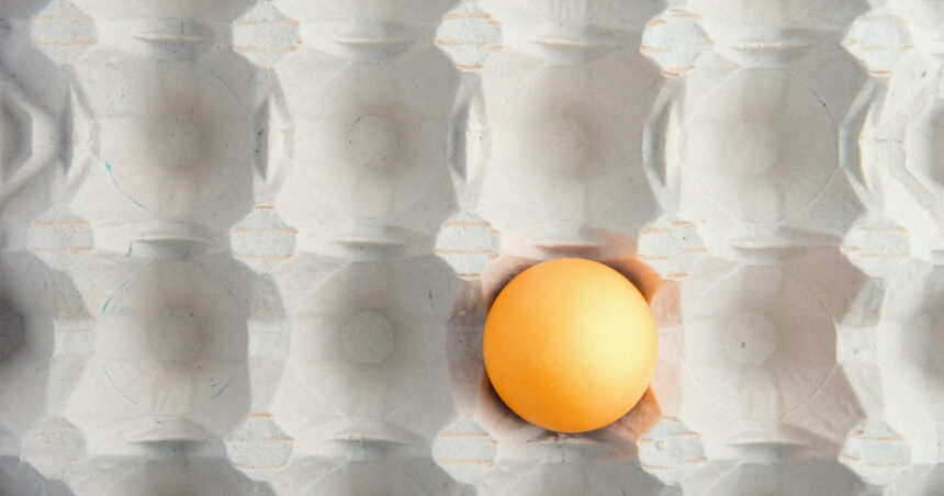 motivul pentru care in unele magazine se gasesc tot mai putine oua fermierii le exporta pentru ca primesc bani mai multi 6915a35663a27