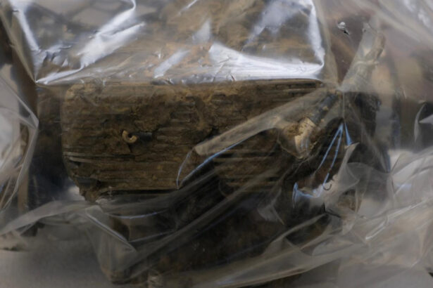 news alert ambasadorul rusiei la bucuresti convocat la sediul mae dupa ce o drona a cazut in zona grindu o violare a suveranitatii romaniei 69176530e7806