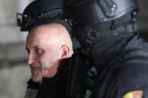 news alert horatiu potra a fost adus sub escorta in romania impreuna cu fiul si nepotul sau politia romana cei trei vor fi dusi in arest 691f2b20c79aa