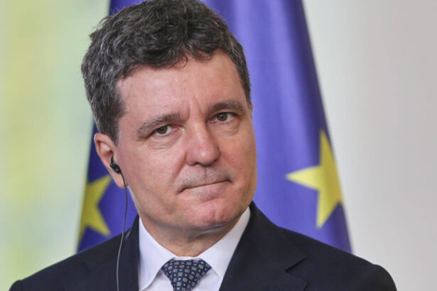 nicusor dan romania a facut un pas decisiv spre aderarea la ocde legea privind integritatea in institutii promulgata 691f15edbf7b8