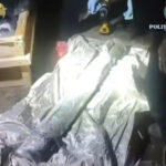 nicusor dan vede o micuta zona in care statul functioneaza dupa ce vamesii au oprit un transport ilegal de arme la albita 69206852ea0c8