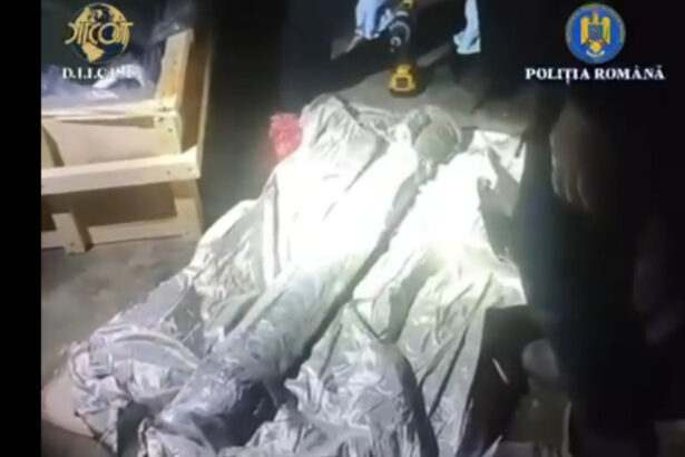 nicusor dan vede o micuta zona in care statul functioneaza dupa ce vamesii au oprit un transport ilegal de arme la albita 69206852ea0c8