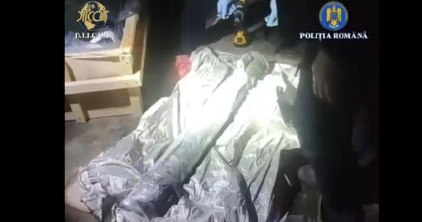 nicusor dan vede o micuta zona in care statul functioneaza dupa ce vamesii au oprit un transport ilegal de arme la albita 69206852ea0c8