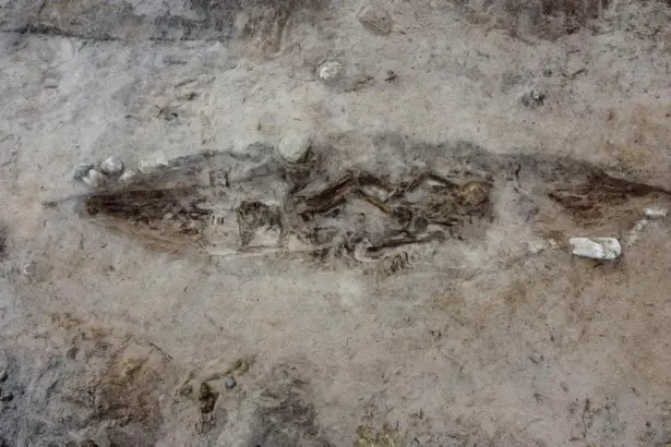o femeie din epoca vikingilor ingropata alaturi de cainele ei intr un mormant barca 691bda35a4f6c