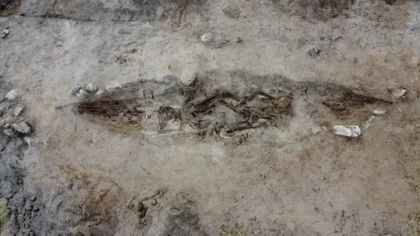 o femeie din epoca vikingilor ingropata alaturi de cainele ei intr un mormant barca 691bda35a4f6c