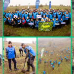 oameniidigi au plantat 5 200 de puieti la cea de a doua editie padurea digi fiecare copac o schimbare 691b2f916d0a3