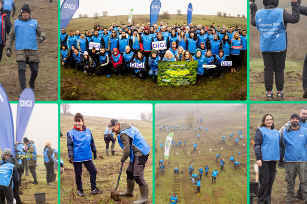 oameniidigi au plantat 5 200 de puieti la cea de a doua editie padurea digi fiecare copac o schimbare 691b2f916d0a3