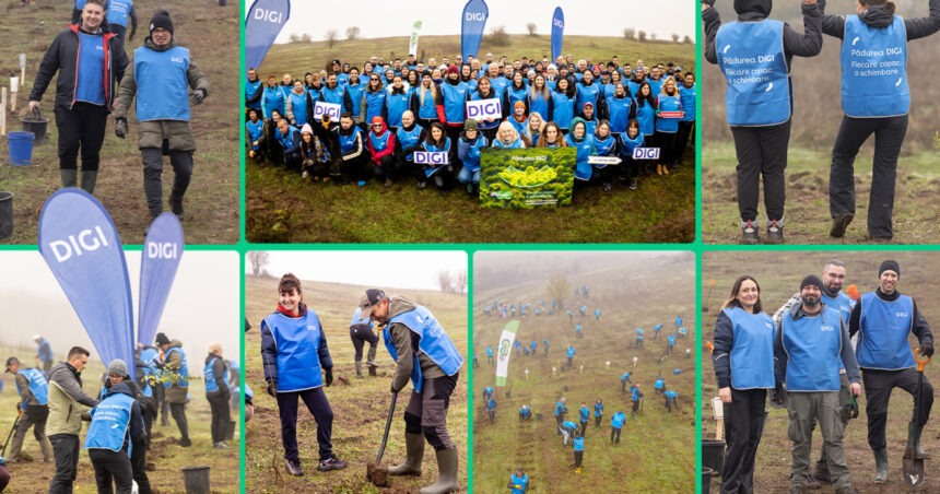 oameniidigi au plantat 5 200 de puieti la cea de a doua editie padurea digi fiecare copac o schimbare 691b2f916d0a3