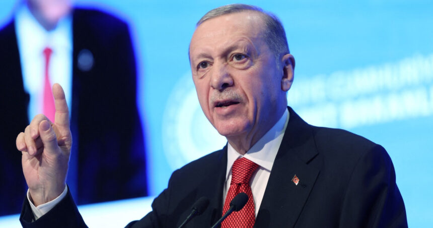 oana toiu presedintele nicusor dan l a invitat pe recep tayyip erdogan in vizita oficiala de stat in romania anul viitor 690e5851b7731