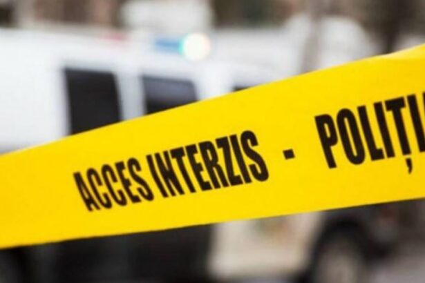 omor la cuza voda autorul faptei se plimba cu microbuzul avand arma crimei la el 692756f94c7f3