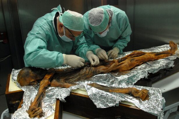 otzi omul din gheata ce au descoperit cercetatorii in corpul unei mumii vechi de 5 300 de ani 691dde7db0541