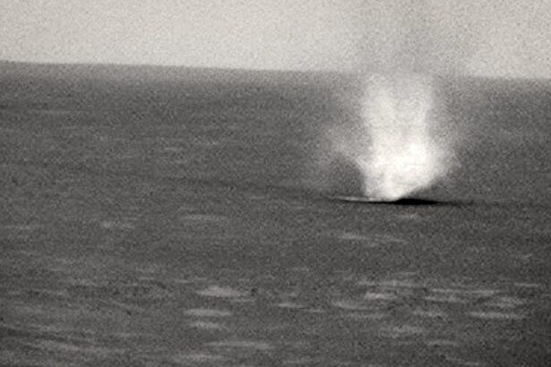 pentru prima data nasa a inregistrat un fulger pe marte 69295971ef9af