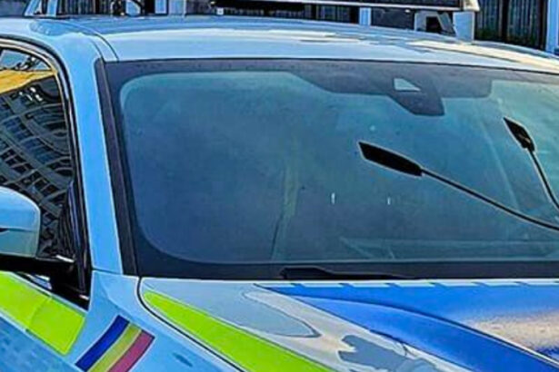 politist inculpat pentru proxenetism si trafic de persoane el a recrutat o femeie pe care a obligat o sa se prostitueze in europa 692896d1a3fe5