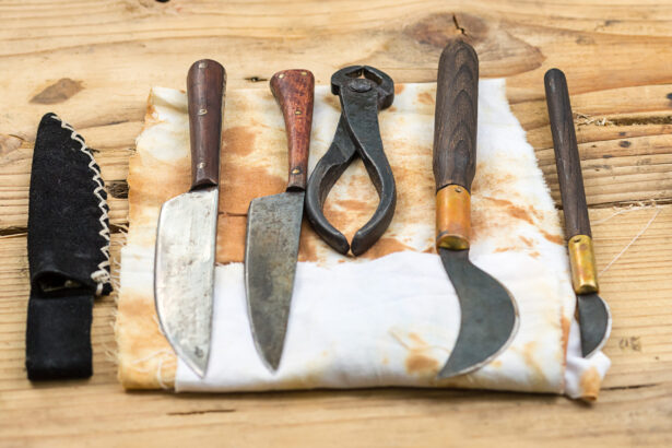 practici dentare bizare din istorie de la viermii dintilor la pasta din soareci 691f4513590ea