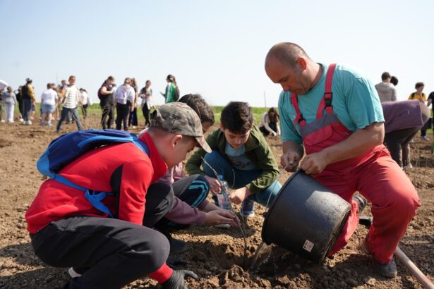 primaria cumpana impreuna cu asociatia crestem romania impreuna organizeaza sambata o ampla actiune de plantare in comuna 690daaacefe89
