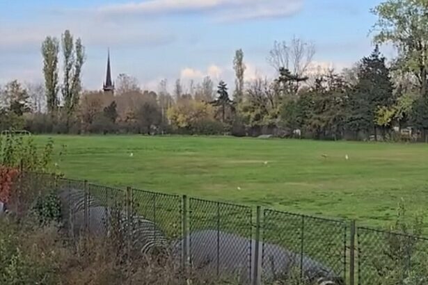 proiect pentru reabilitarea pistei de atletism si terenului mare de la palatul copiilor constanta 691572543ebbd