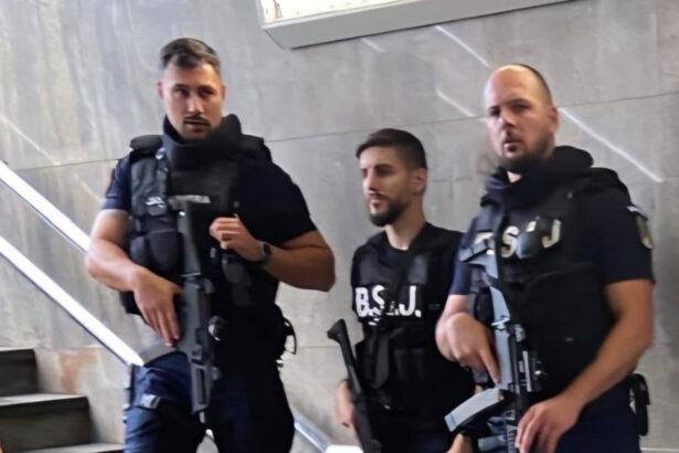 reorganizare radicala a jandarmeriei romane peste 3 000 de agenti vor fi scosi in strada 691c456964b59