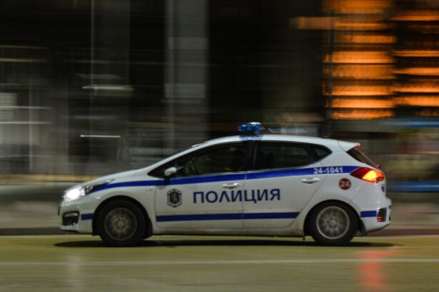 roman implicat intr un accident in bulgaria in care au murit 6 migranti masina s a rasturnat intr un lac dupa o urmarire a politiei 690dc0e5df1a9