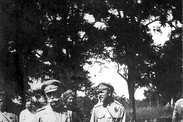 romania victima a planurilor generalilor rusi secretele pe care rusii i le au spus generalului francez henri berthelot 691b426d08bc7