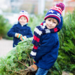 romsilva scoate la vanzare 16 000 de pomi de craciun care sunt preturile pentru achizitia directa de la ocoalele silvice 692830d38ecdd