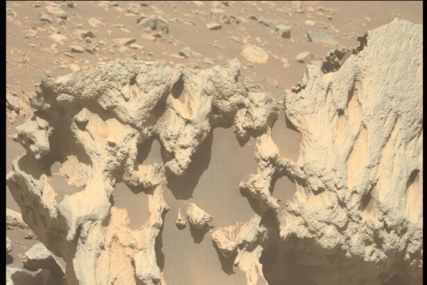 roverul perseverance al nasa a gasit o roca neobisnuita sculptata si inalta pe marte 69280f0181a9a