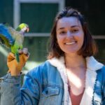 sa invatam de la perusi cum isi fac papagalii prieteni noi 6927191260308