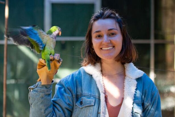 sa invatam de la perusi cum isi fac papagalii prieteni noi 6927191260308