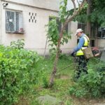 spatiile verzi din constanta verificate de garda de mediu au fost intocmite trei sesizari penale 6920e2a5bfa57