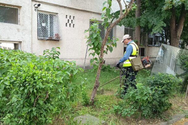 spatiile verzi din constanta verificate de garda de mediu au fost intocmite trei sesizari penale 6920e2a5bfa57