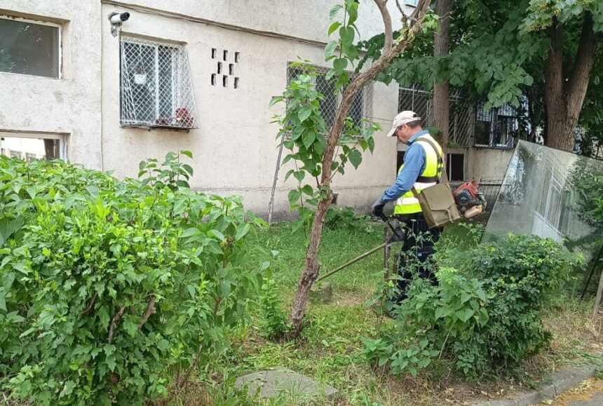 spatiile verzi din constanta verificate de garda de mediu au fost intocmite trei sesizari penale 6920e2a5bfa57